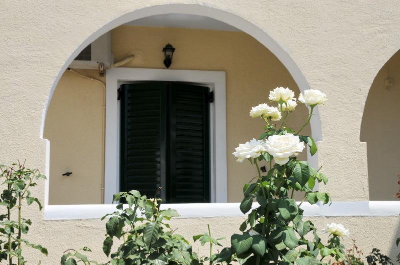 Alvi Studios Perdika  Exterior photo